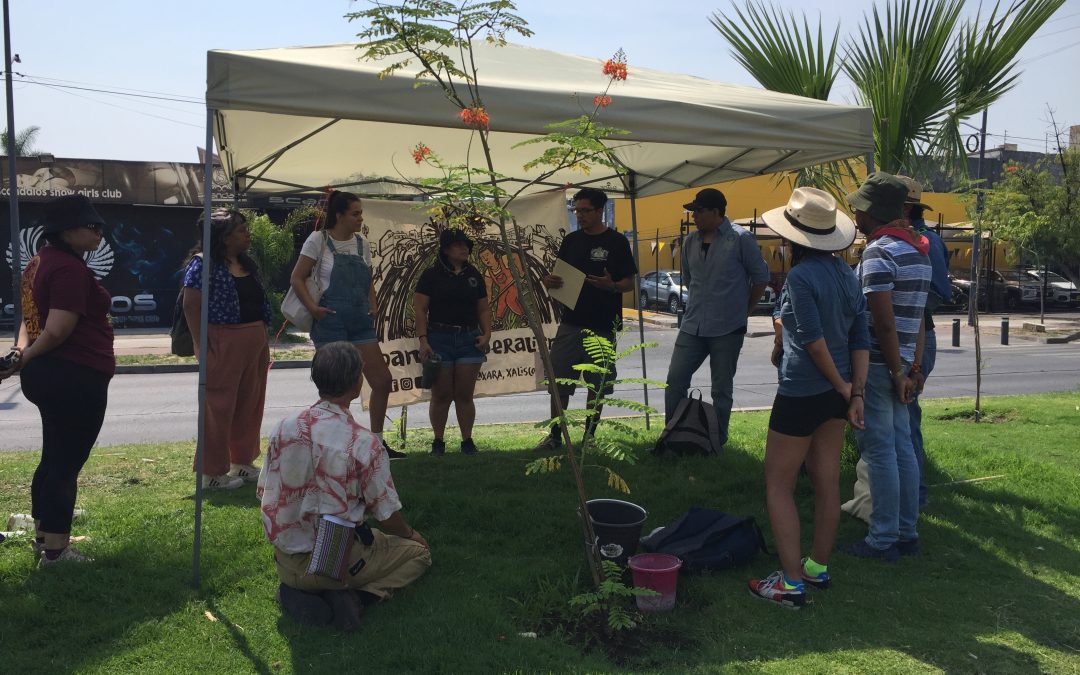 “Herbolaria para el barrio, descubrir maravillas ancestrales en el corazón de la ciudad”