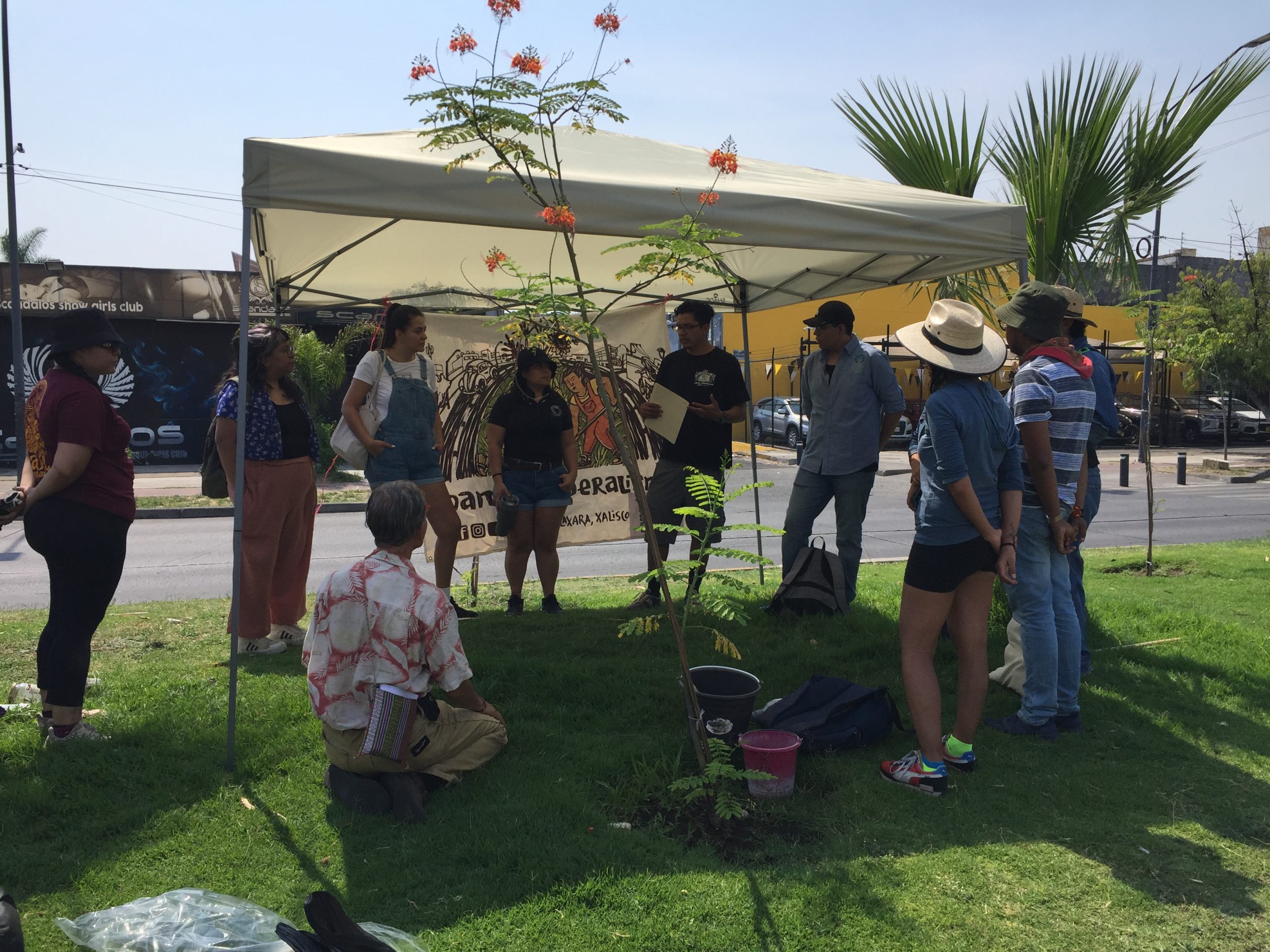 foto Radio Coamil Herbolaria Barrio f07