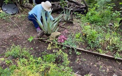 Alzar la voz y la solidaridad para sembrar la ciudad