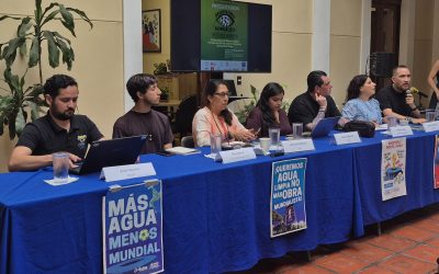 “La realización de un evento deportivo no puede pasar por encima de las personas y sus derechos humanos” María González (IMDEC): presentan el Observatorio Mundialista de Derechos Humanos