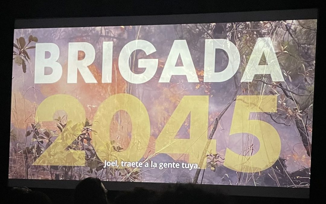 “Brigada 2045”: el valor de ser brigadista forestal